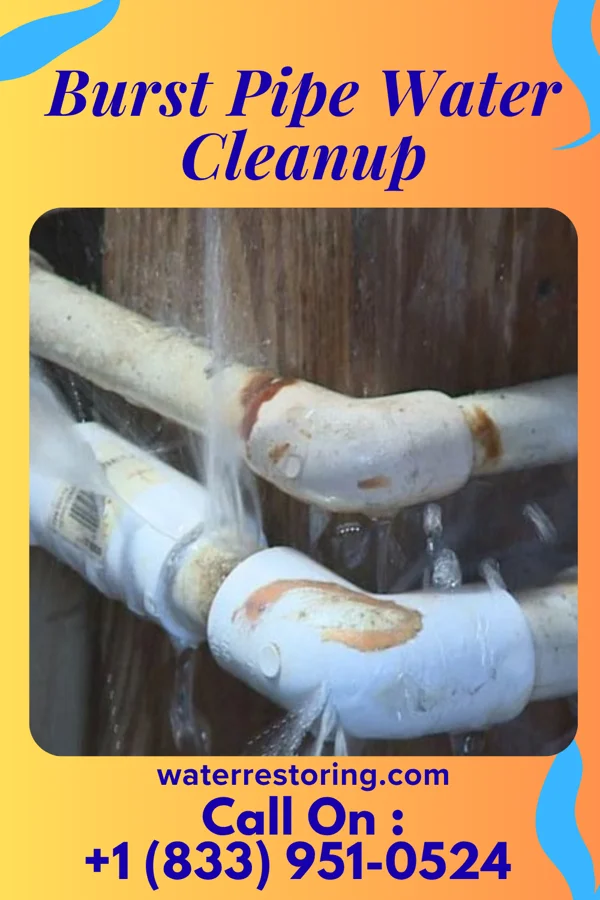 Burst Pipe Water Cleanup in Waterville, OH