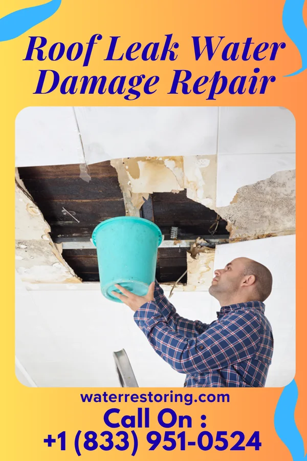 Roof Leak Water Damage Repair in Waterville, OH